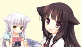 动漫网站,探索热门网站背后的精彩故事